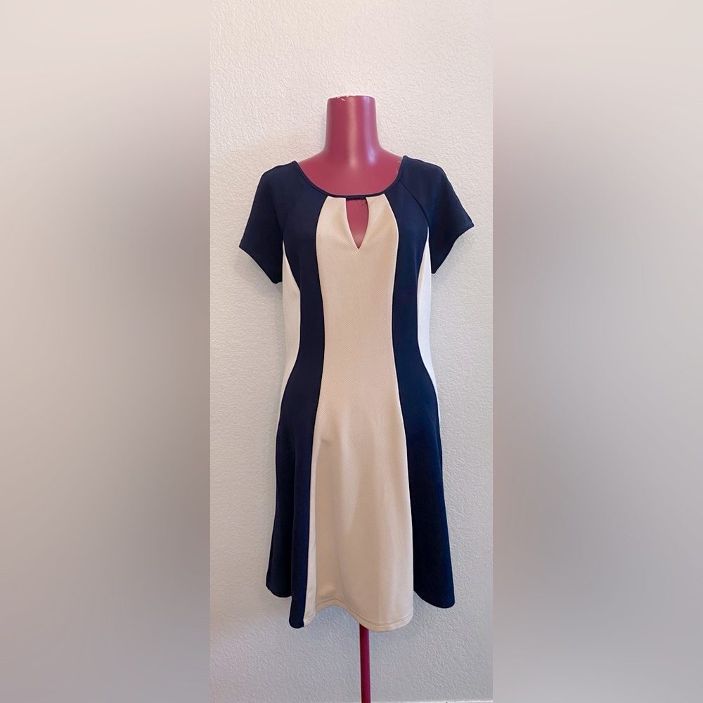 Sandra Darren Blue and Cream Fit and Flare Mini Dress